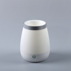 LED Vase